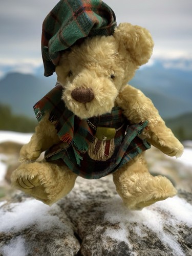 Vintage scottish tartan - vintage,
